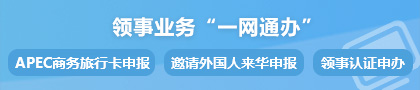 領事業務“一網通辦”